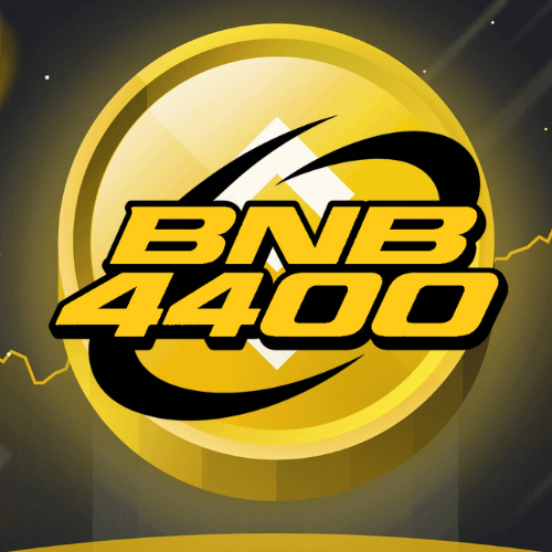 BNB 6900 Coin
